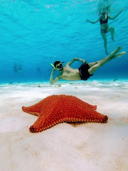 Picture 10 for Activity From Cozumel: 3 Reefs Boat Tour with Drinks and Snorkeling