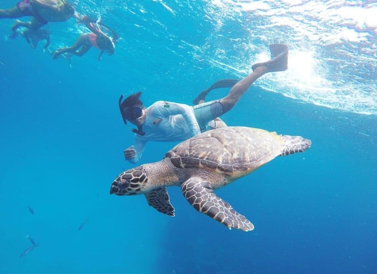Picture 2 for Activity From Cozumel: 3 Reefs Boat Tour with Drinks and Snorkeling