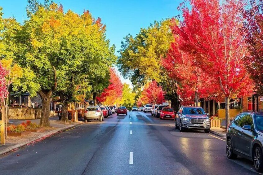 Adelaide City and Hahndorf Full Day Tour