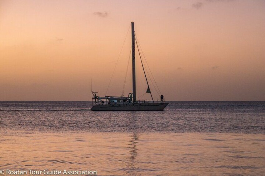 Catamaran Cruise, Open Bar, Food and Snorkeling