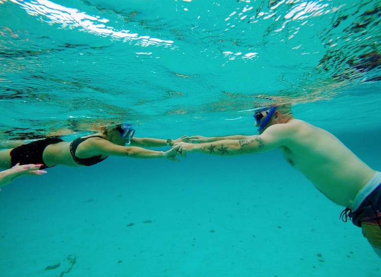 Picture 10 for Activity Cozumel: Starfish, Stingrays, and Turtle Bay Snorkeling Tour