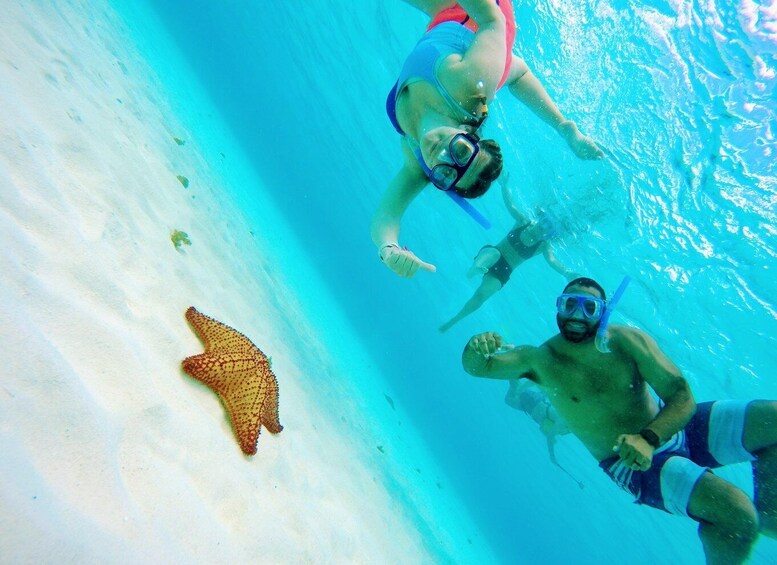 Picture 2 for Activity Cozumel: Starfish, Stingrays, and Turtle Bay Snorkeling Tour
