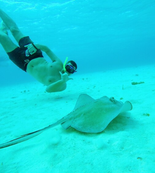 Picture 1 for Activity Cozumel: Starfish, Stingrays, and Turtle Bay Snorkeling Tour