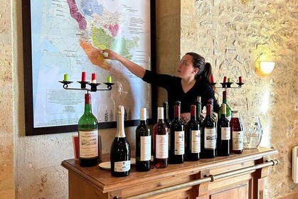 Bordeaux: Ontdek een biologische familiewijngaard met proeverij