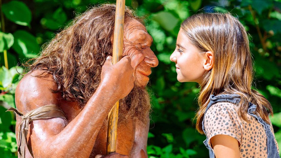 Mettmann: Neanderthal Museum Admission Ticket