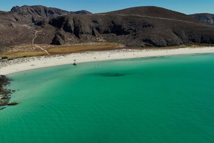 Balandra by Sea Wildlife and Snorkeling from Pichilingue