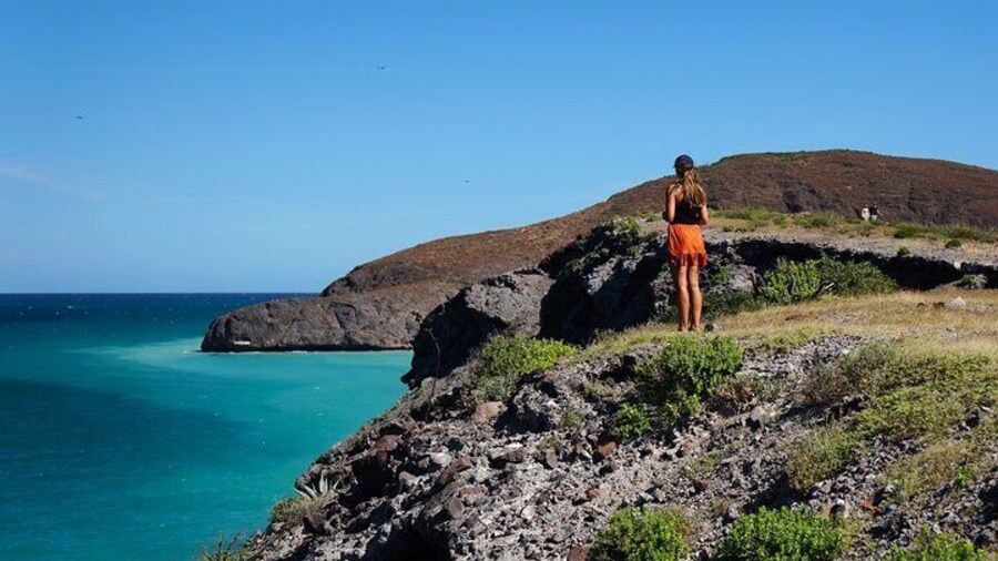 Balandra by Sea Wildlife and Snorkeling from Pichilingue