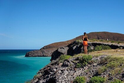 Balandra by Sea Wildlife and Snorkelling from Pichilingue