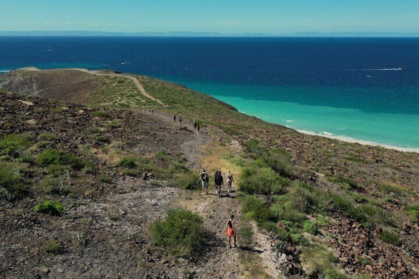 Balandra by Sea Wildlife and Snorkeling from Pichilingue