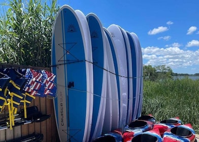 Ocean City: Paddleboard Rental