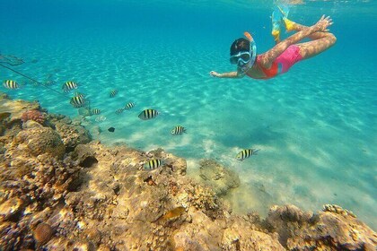 1-Hour Private Speedboat Ride in the Coast – Sharm El Sheikh