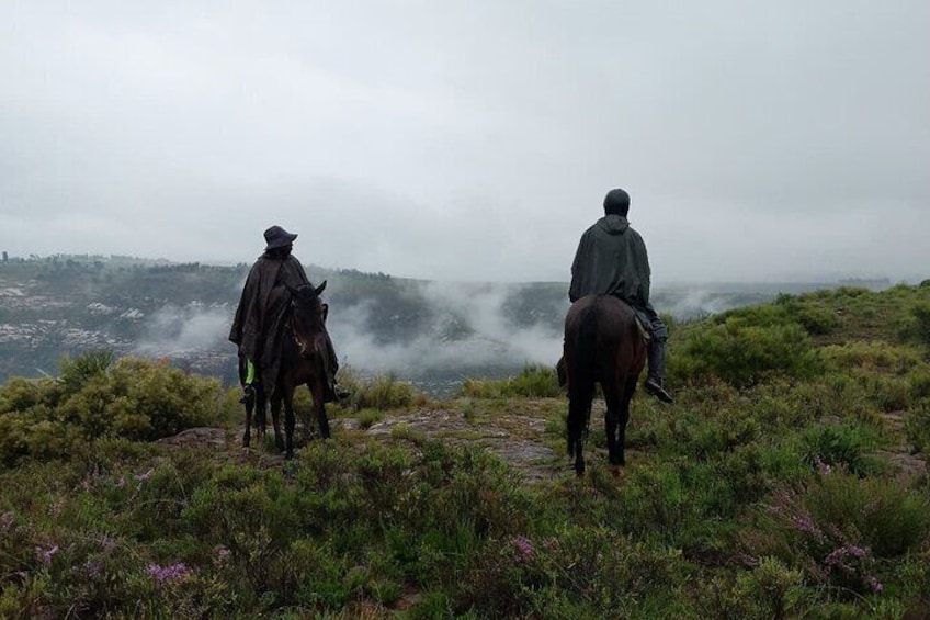 Pony trekking