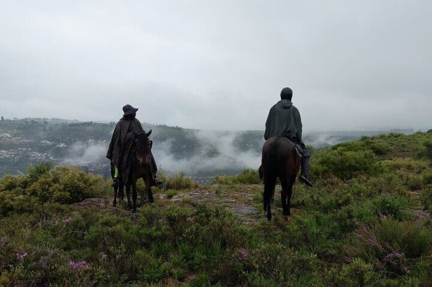 Pony trekking