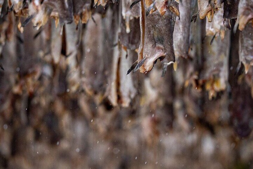 Stockfish