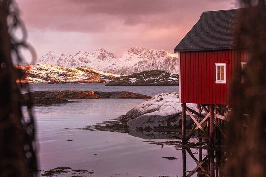 Svinøya Rorbuer