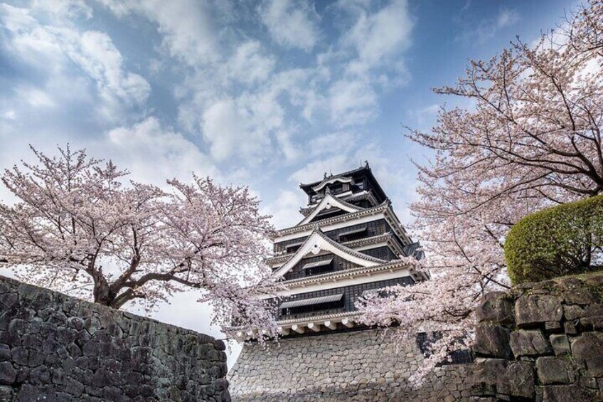 Kumamoto Castle-1