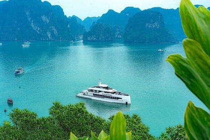 Halong Symphony Cruise Explore Sung Sot Cave and Ti Top Island