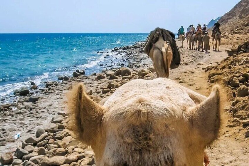 Blue Hole Canyon Tour with Camel Ride, ATV & BBQ –Sharm El Sheikh