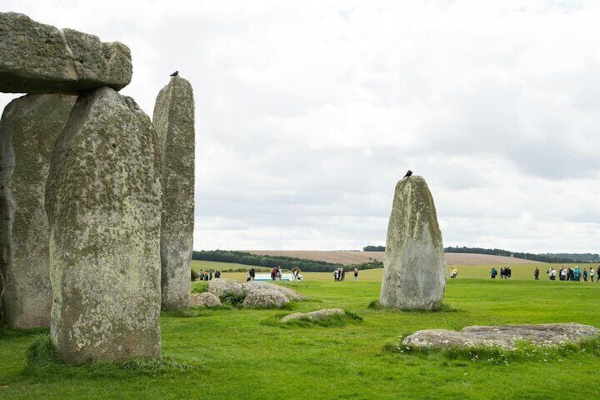 Stonehenge and Bath 10 Hours Day Trip from London