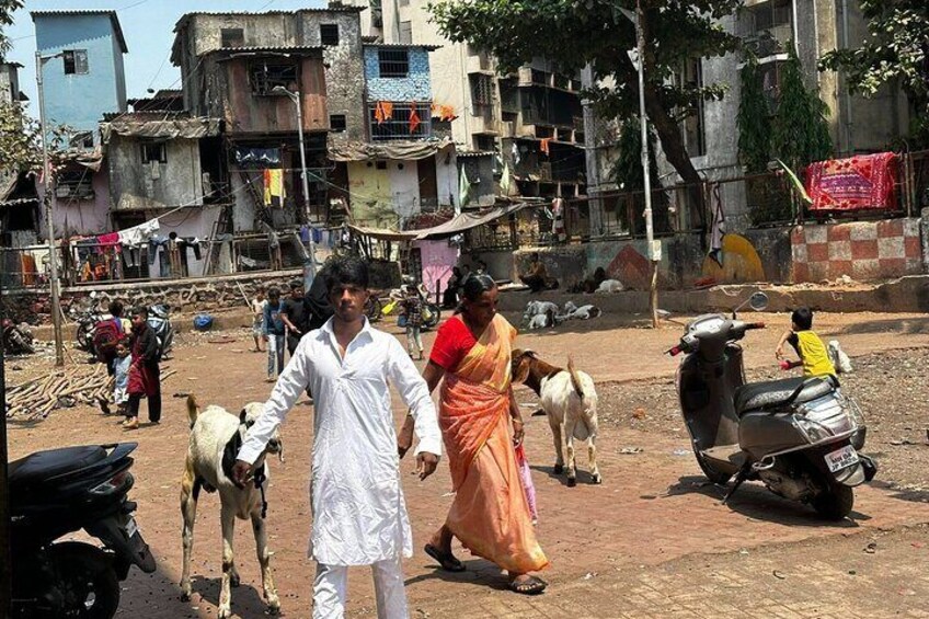Mumbai Slum Tour with Dhobi Ghat Laundry and Train Ride