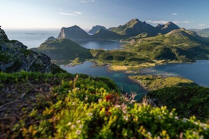 Arctic Trails Hiking Tour from Svolvær