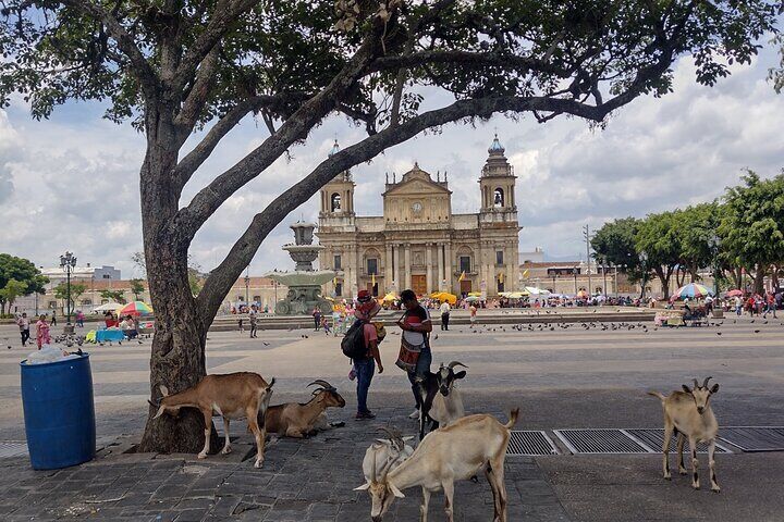 Half-Day Historical Tour of Guatemala City