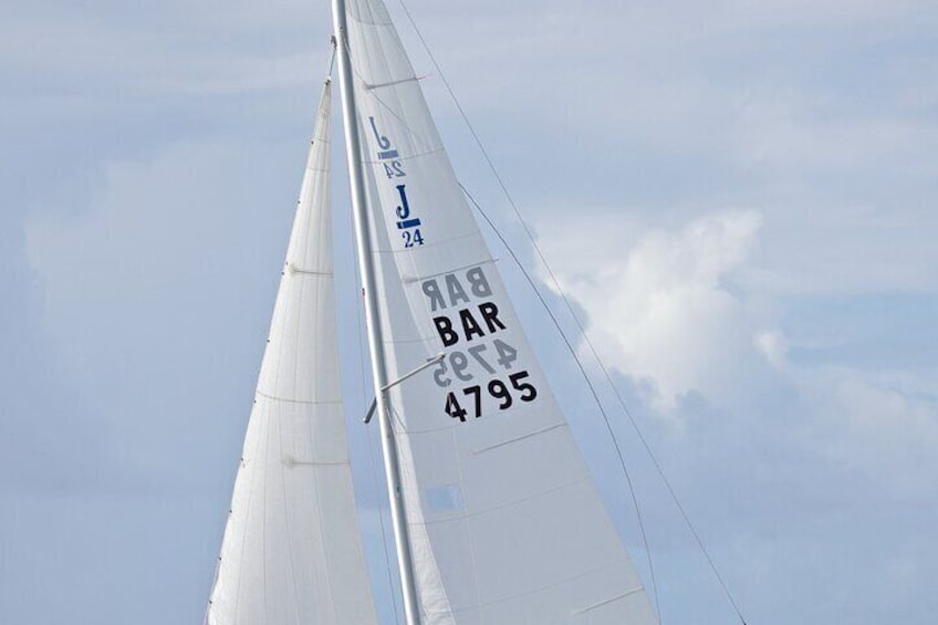 Race the Wind Sailing Adventure in Barbados