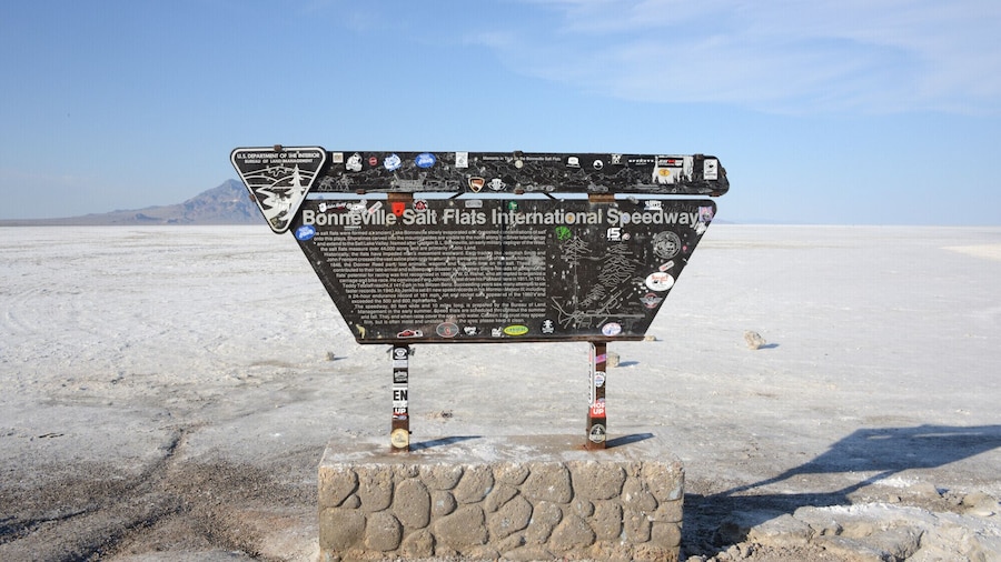 From SLC: Bonneville Salt Flats and Raceway Day Trip