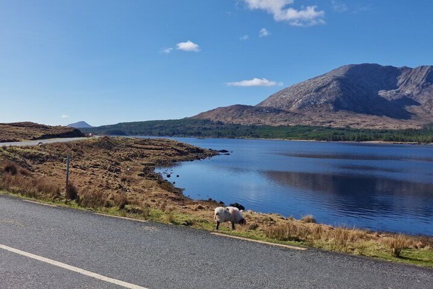 Inagh valley 