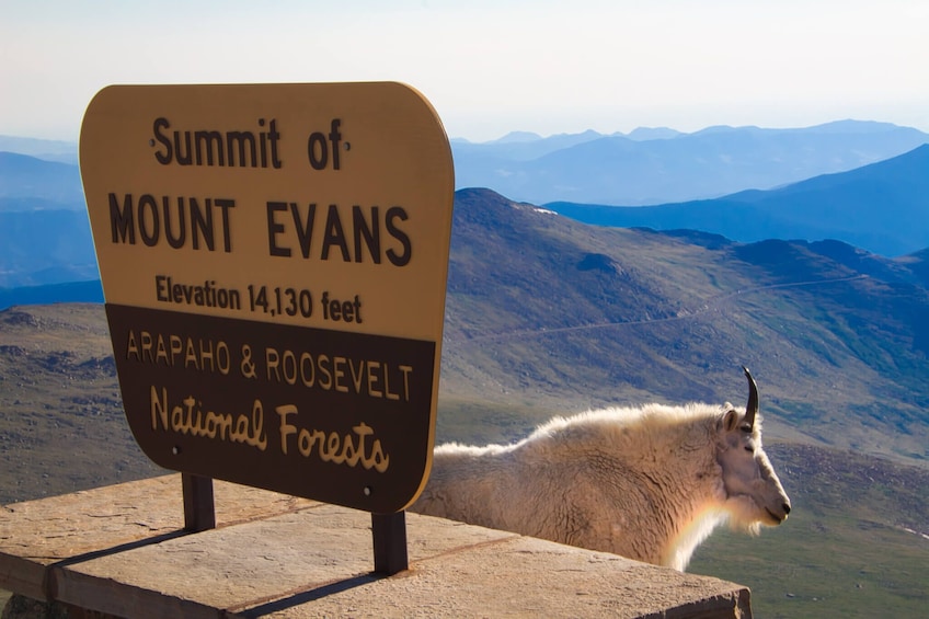 Small Group: Mount Evans& Hot Springs Tour from Denver
