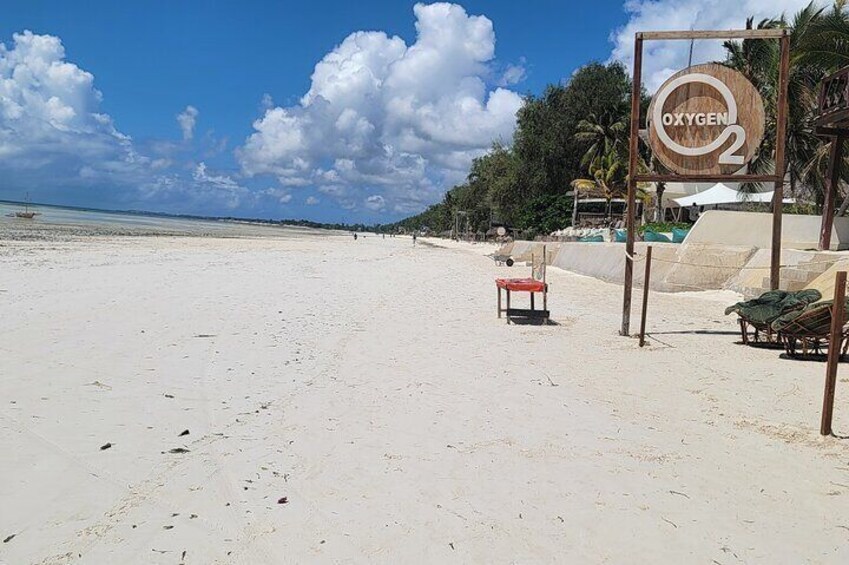 Jozani Forest Kuza Cave Paje Beach and the Rock Restaurant 