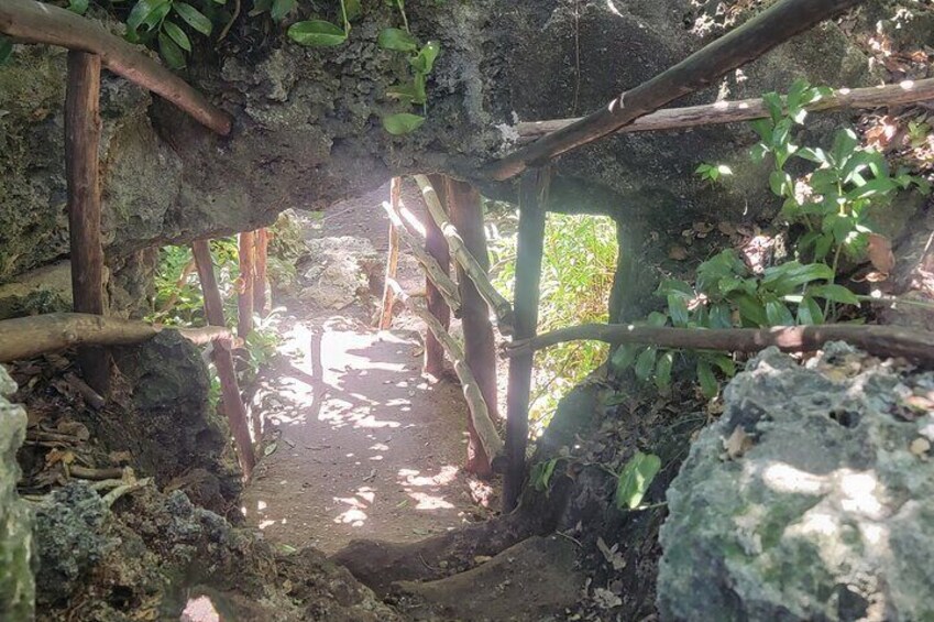 Jozani Forest Kuza Cave Paje Beach and the Rock Restaurant 