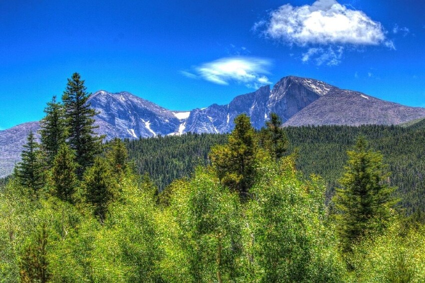 Small Group: Rocky Mountain 1 day Tour from Denver