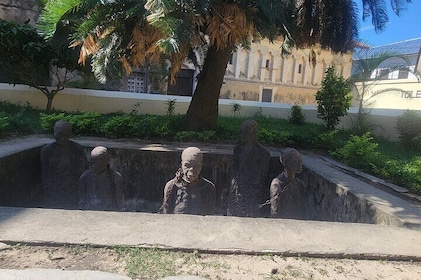 Stone Town Prison Island and Spice Tour
