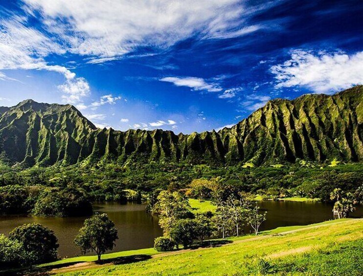 Explore Oahu in a Polaris Slingshot
