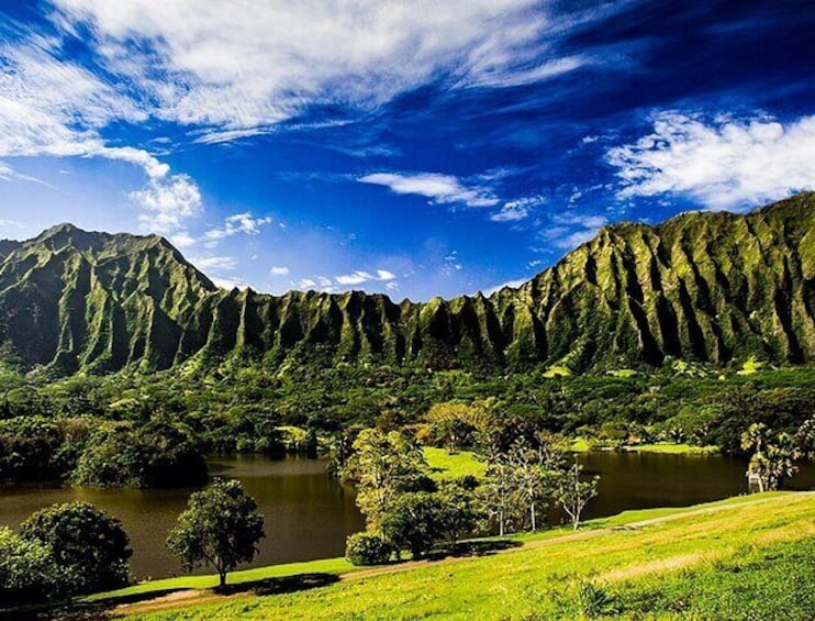 Explore Oahu in a Polaris Slingshot