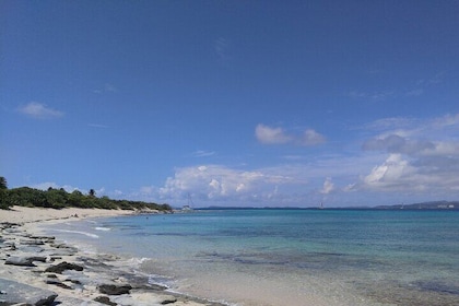 Private Half-Day Tour to Icacos and Palomino