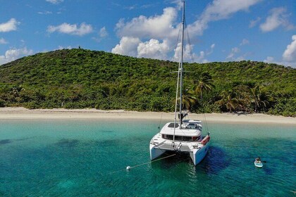 Private Full Day Tour on Luxury Yacht Cayo Icacos and Palomino