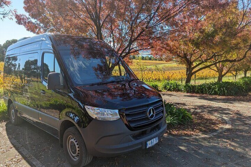 Coal River Valley Wine Tour