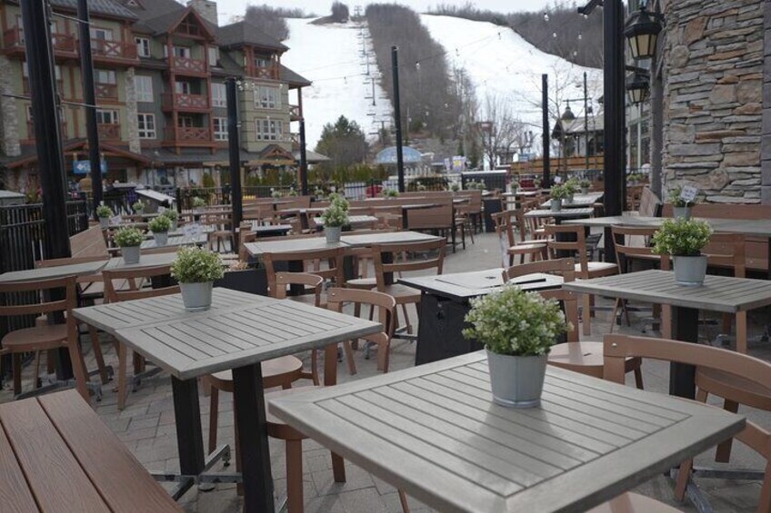 Blue Mountain Day Trip: Wine tasting, Horseback & Outdoor Fun!