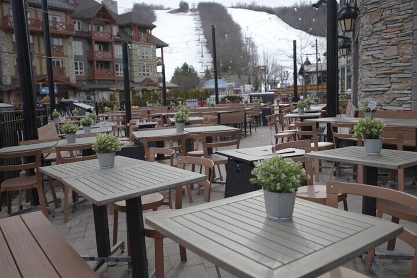 Blue Mountain Day Trip: Wine tasting, Horseback & Outdoor Fun!