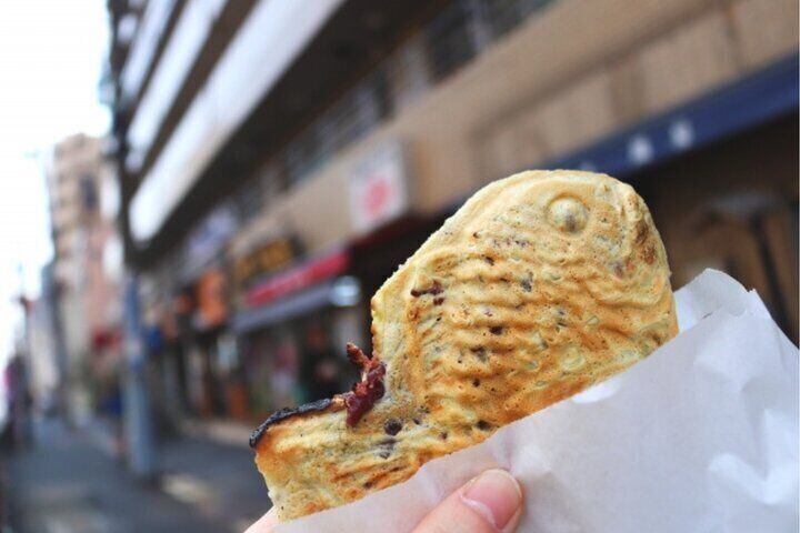 Yanaka &amp; Ueno Tokyo&#x27;s Old Town Charm - Temple, market,Retro Vibes