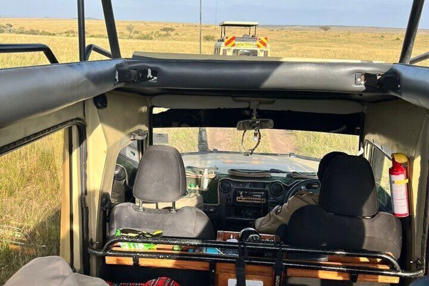 Game drive moments in Masai Mara