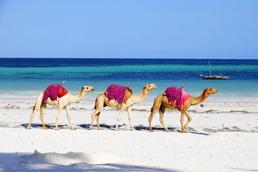 Diani Beach in Mombasa, Kenya