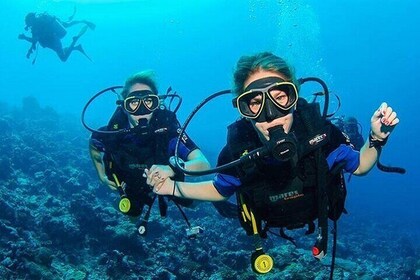 Curso avanzado de buceo en el hermoso Mar Rojo - Sharm El Sheikh