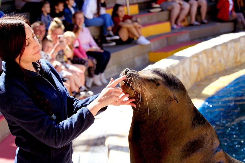 Picture 19 for Activity Benidorm: Mundomar Animal Park Entrance Ticket