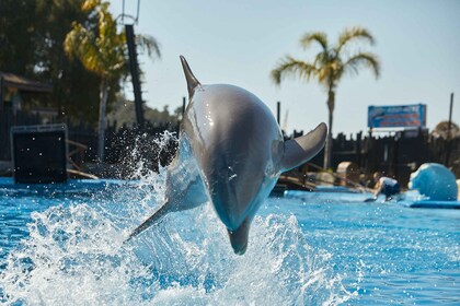 Benidorm: Mundomar Animal Park Entrance Ticket