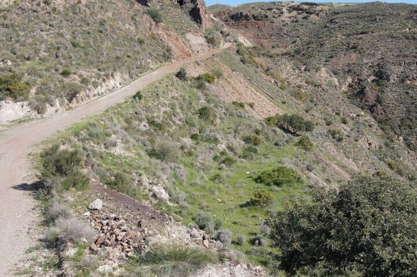 Jeep Safari and Spanish Tapas Adventure in Bedar
