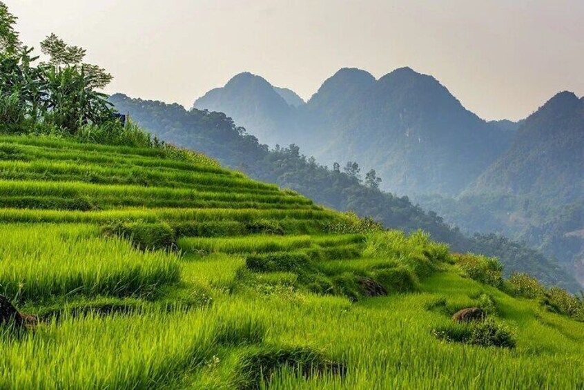 4-Day Authentic Tour in Da Bac, Mai Chau and Pu Luong from Hanoi