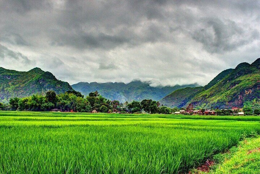 4-Day Authentic Tour in Da Bac, Mai Chau and Pu Luong from Hanoi